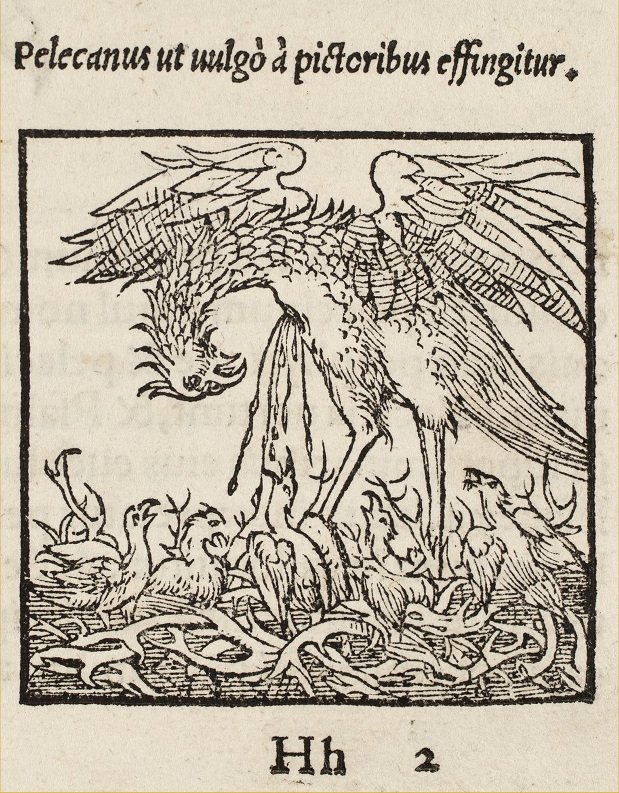 A Pelican feeding her young with her blood. 